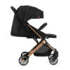 carucior sport estelle gold momi black 2