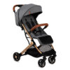 carucior sport estelle gold momi gray