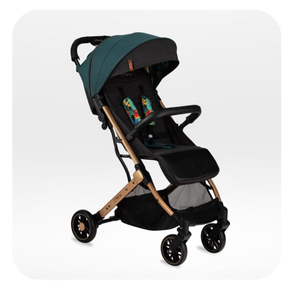 carucior sport estelle gold momi green 10