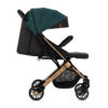 carucior sport estelle gold momi green 2