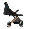 carucior sport estelle gold momi green 3