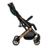 carucior sport estelle gold momi green 9